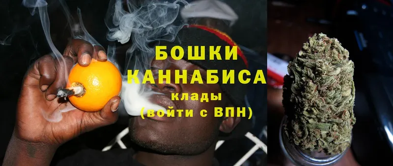 Каннабис Ganja  Дагестанские Огни 